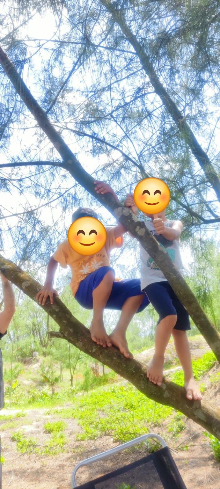 É dezembro.... As Férias chegaram!