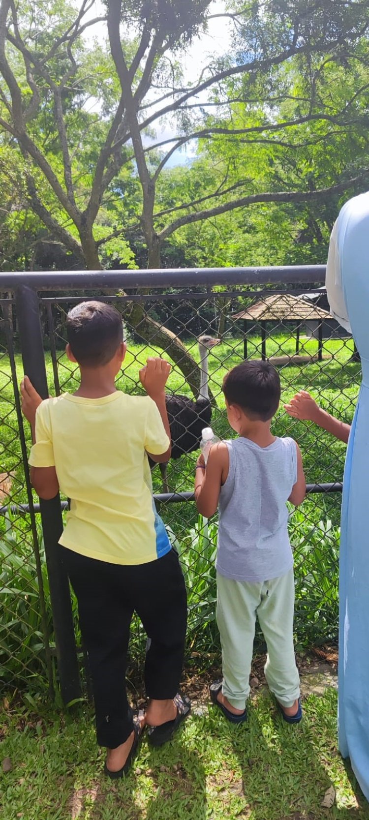 É dezembro.... As Férias chegaram!